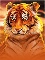 Wild Cats Multiline-bg