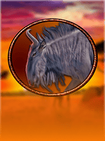 Wild Pride-bg