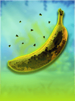 Crazy Bananas-bg