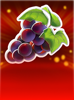 Fruit Collector