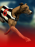 Rush Dogs