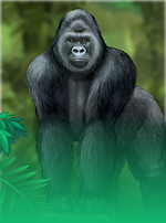 King Of The Jungle