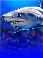 Slingo Shark Week