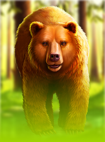 Grizzly Strike
