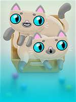 Not Enough Kittens